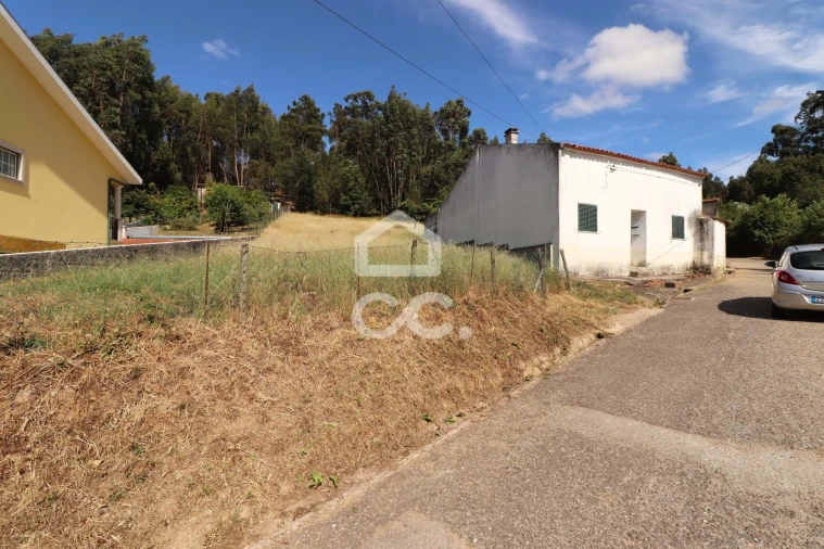 Terreno para Venda em São Martinho do Bispo e Ribeira de Frades Foto 3