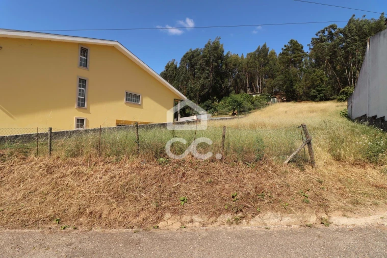 Terreno para Venda em São Martinho do Bispo e Ribeira de Frades Foto 2