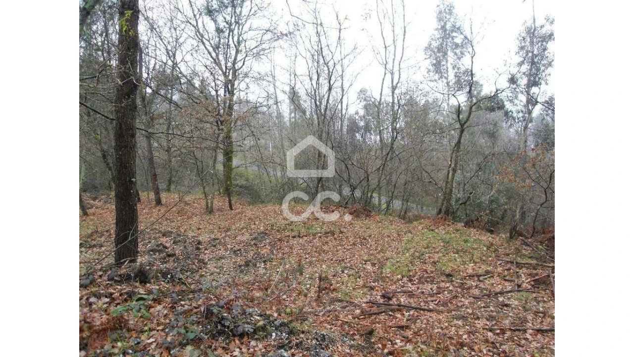 Terreno para Venda em Infantas Foto 18