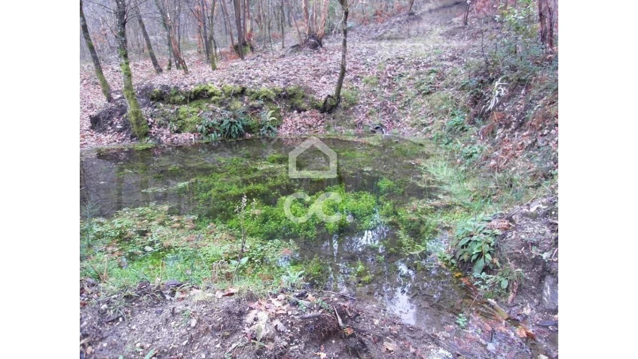 Terreno para Venda em Infantas Foto 3
