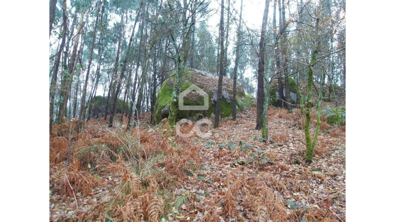 Terreno para Venda em Infantas Foto 17