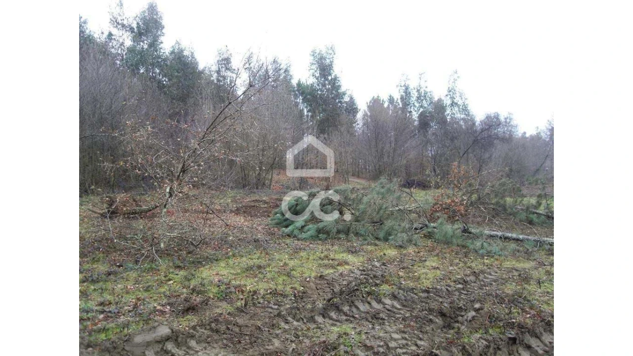 Terreno para Venda em Infantas Foto 19