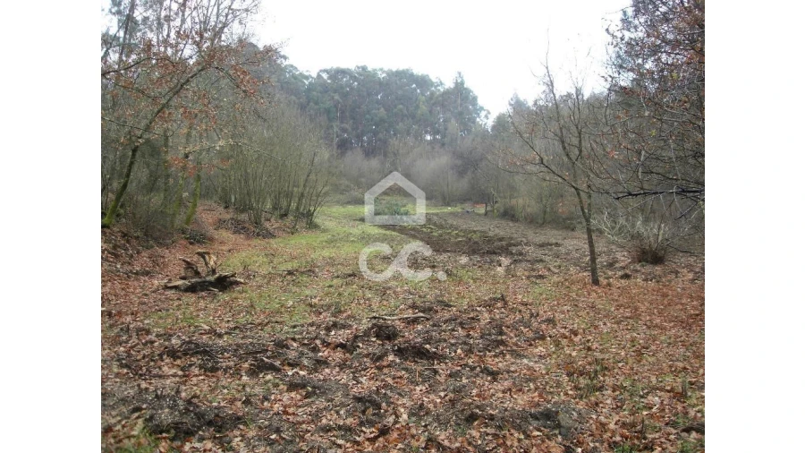 Terreno para Venda em Infantas Foto 1