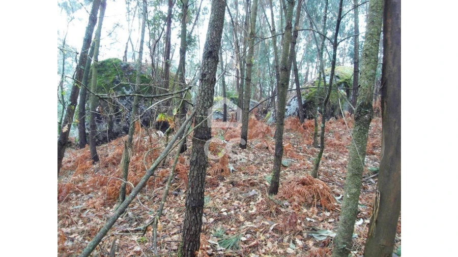 Terreno para Venda em Infantas Foto 15