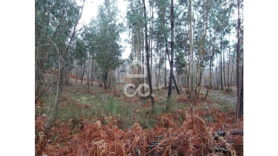 Terreno para Venda em Infantas Foto 12