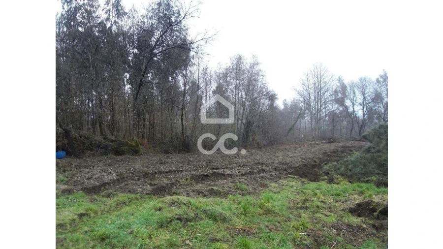 Terreno para Venda em Infantas Foto 9