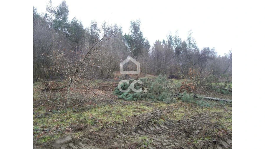 Terreno para Venda em Infantas Foto 19