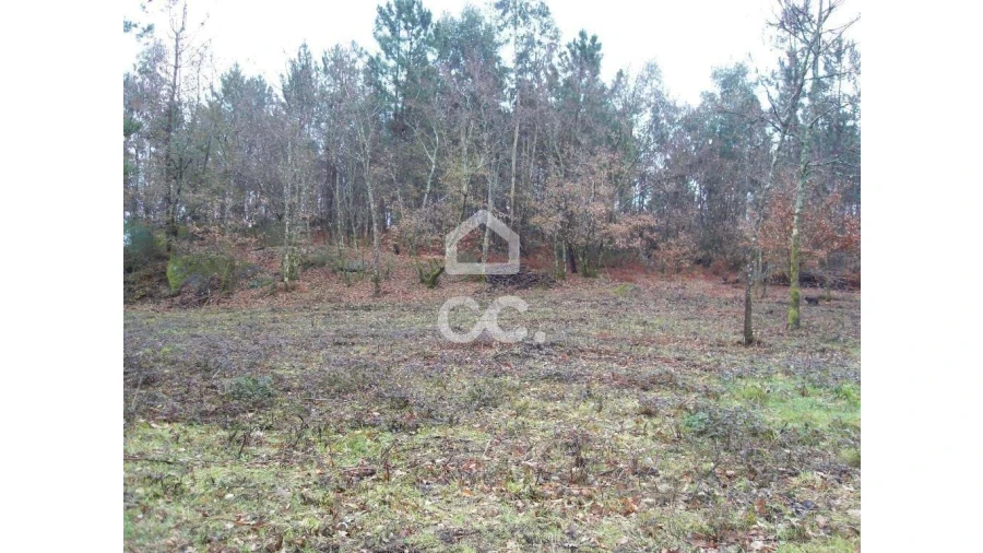 Terreno para Venda em Infantas Foto 10