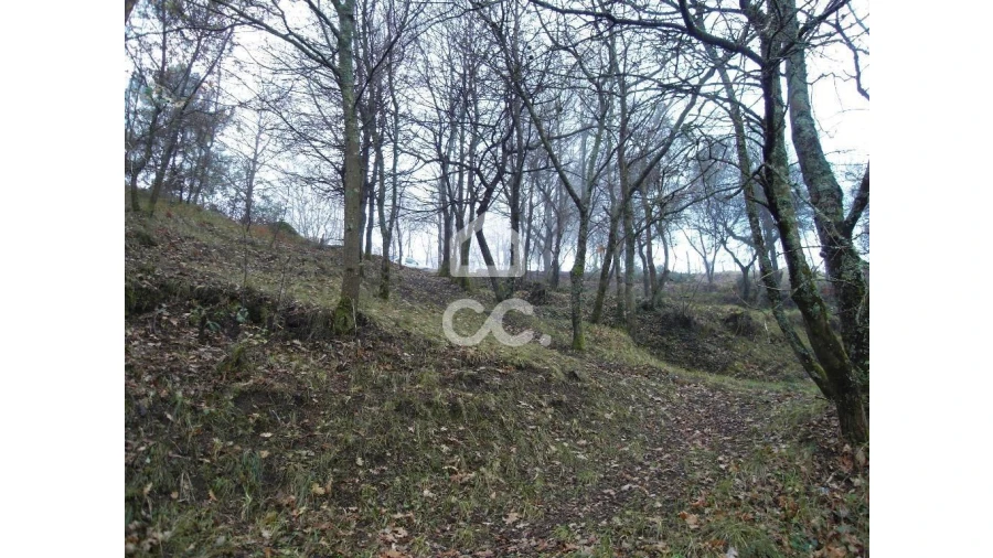 Terreno para Venda em Infantas Foto 2