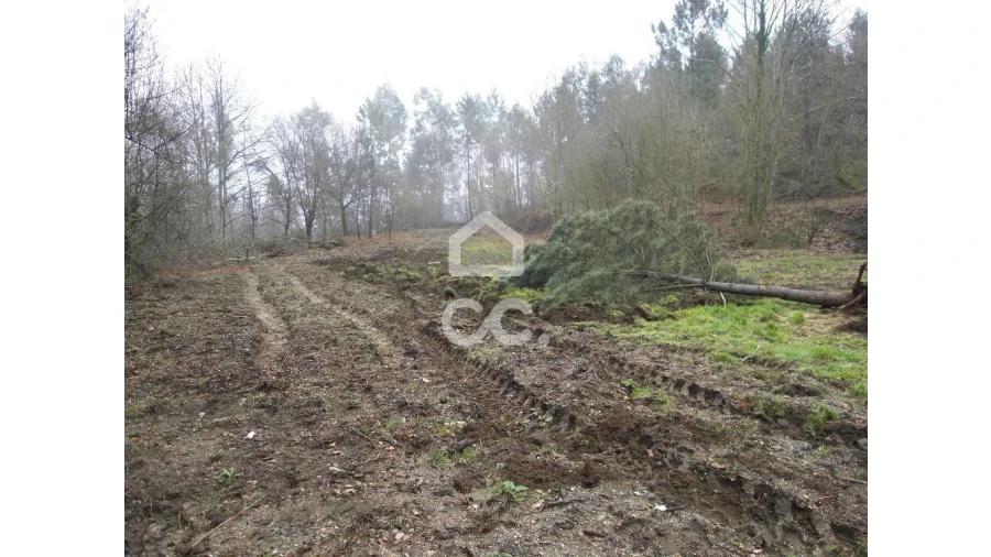 Terreno para Venda em Infantas Foto 5