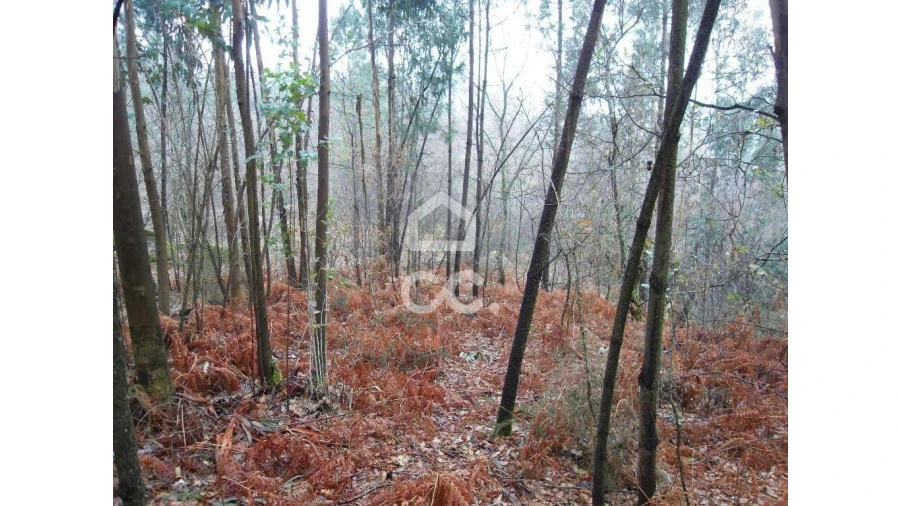 Terreno para Venda em Infantas Foto 16