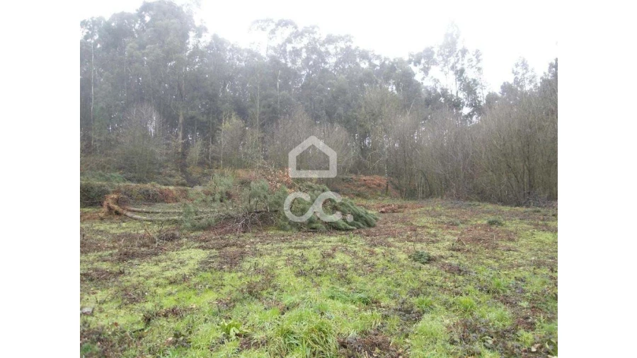 Terreno para Venda em Infantas Foto 6