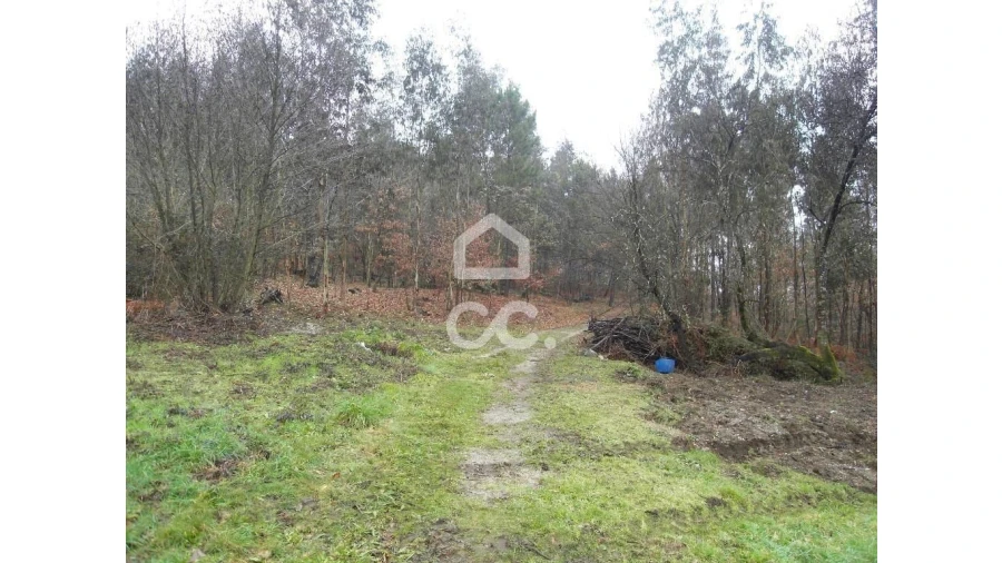 Terreno para Venda em Infantas Foto 8