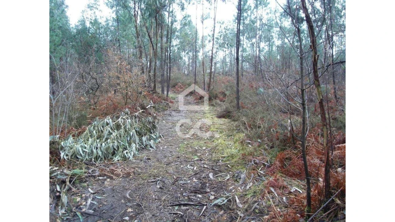 Terreno para Venda em Infantas Foto 11