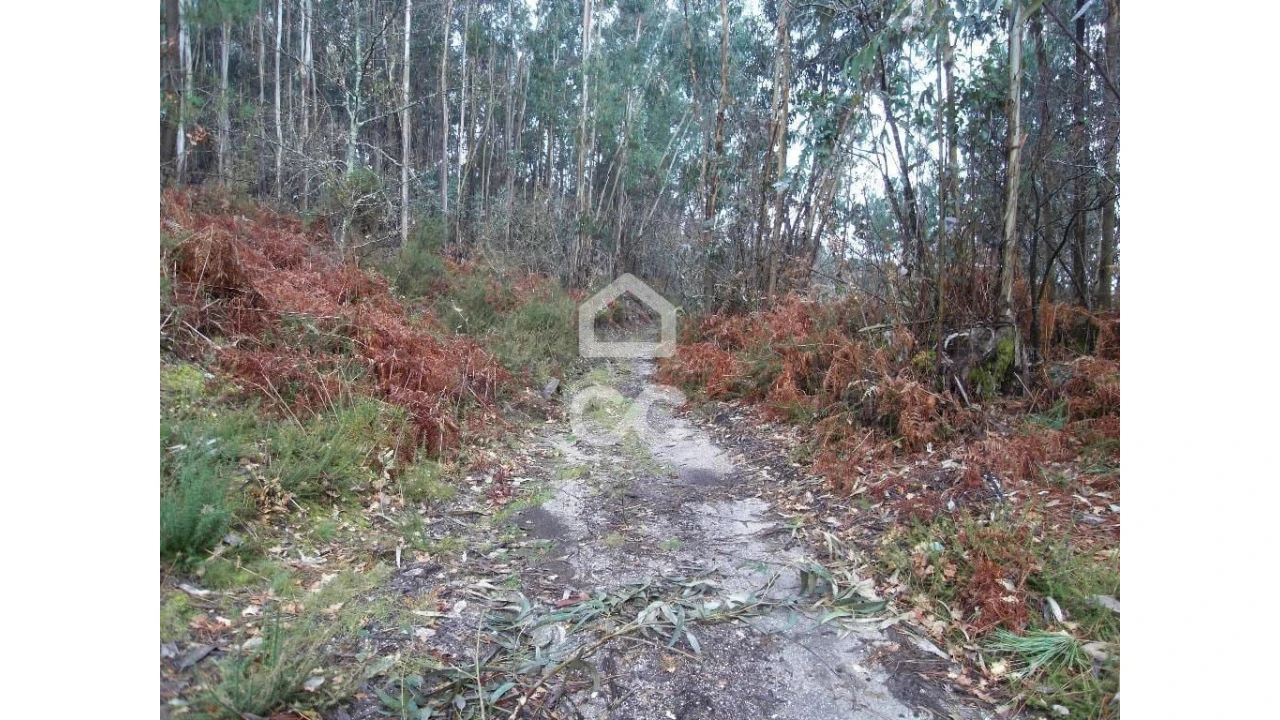 Terreno para Venda em Infantas Foto 13