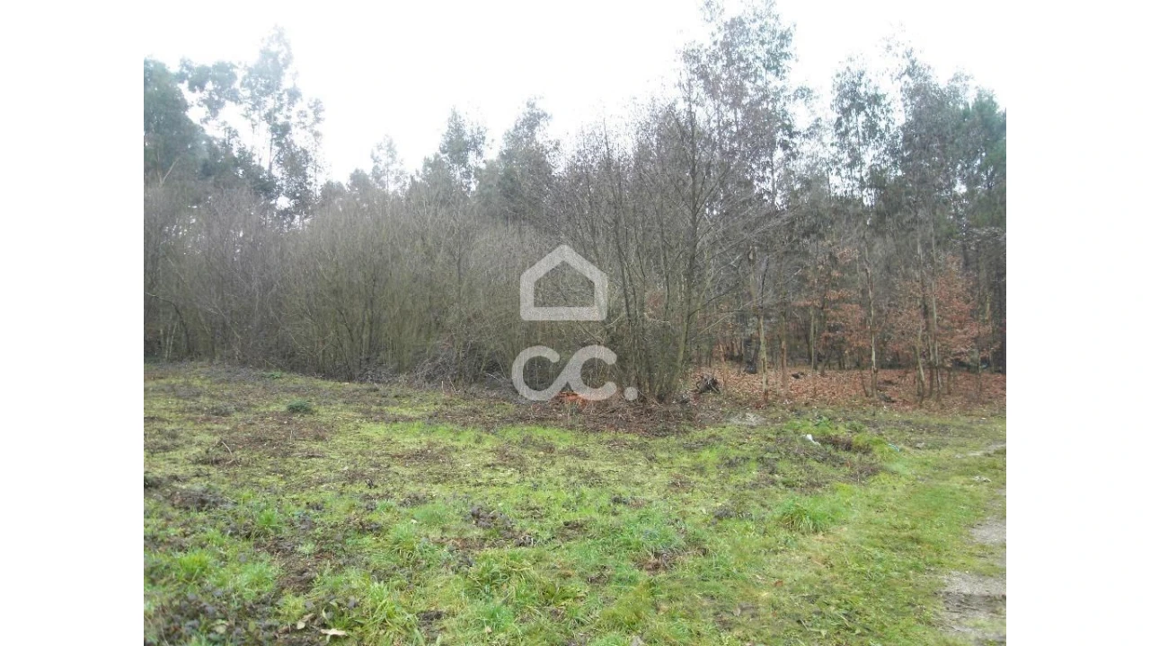 Terreno para Venda em Infantas Foto 7