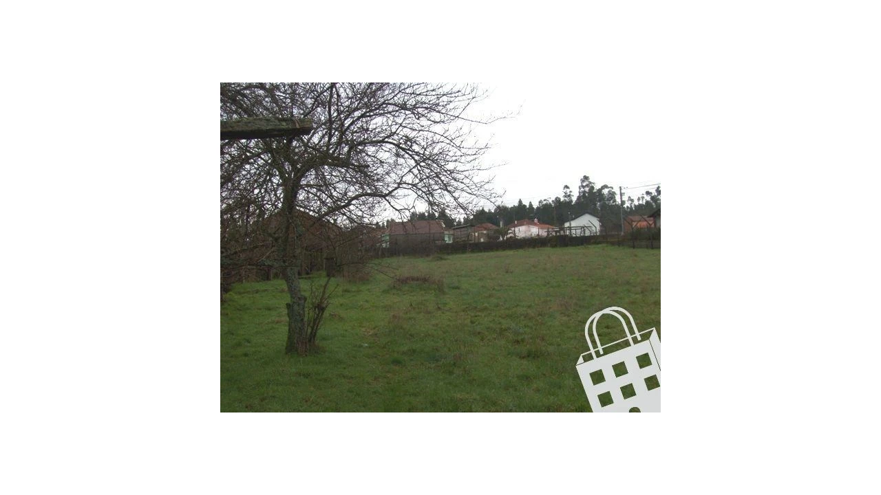 Terreno para Venda em Cambra e Carvalhal de Vermilhas Foto 5