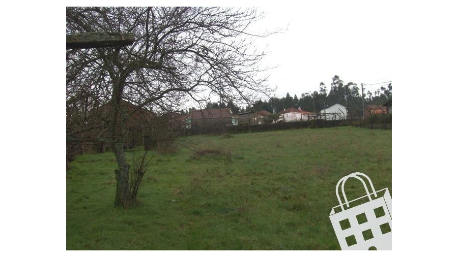 Terreno para Venda em Cambra e Carvalhal de Vermilhas Foto 5