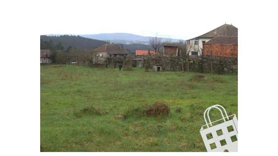 Terreno para Venda em Cambra e Carvalhal de Vermilhas Foto 3
