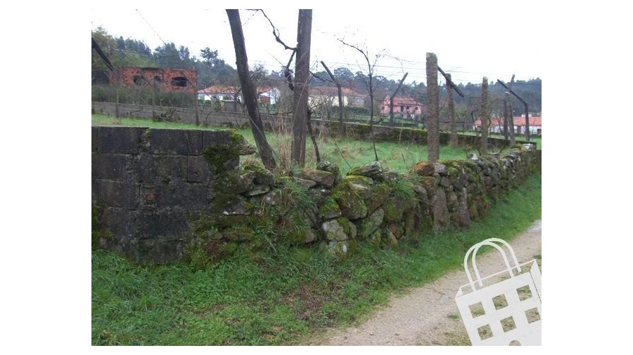 Terreno para Venda em Cambra e Carvalhal de Vermilhas Foto 6