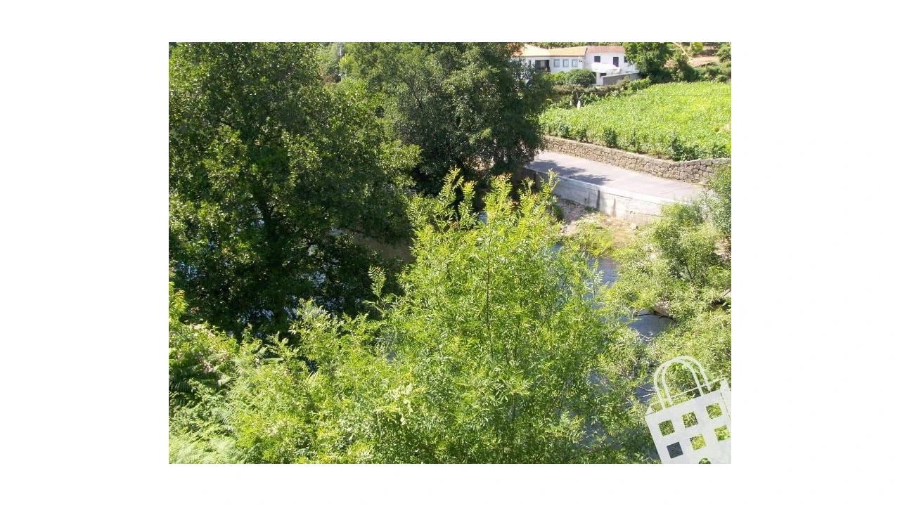 Moradia para Venda em São Pedro do Sul, Várzea e Baiões Foto 4