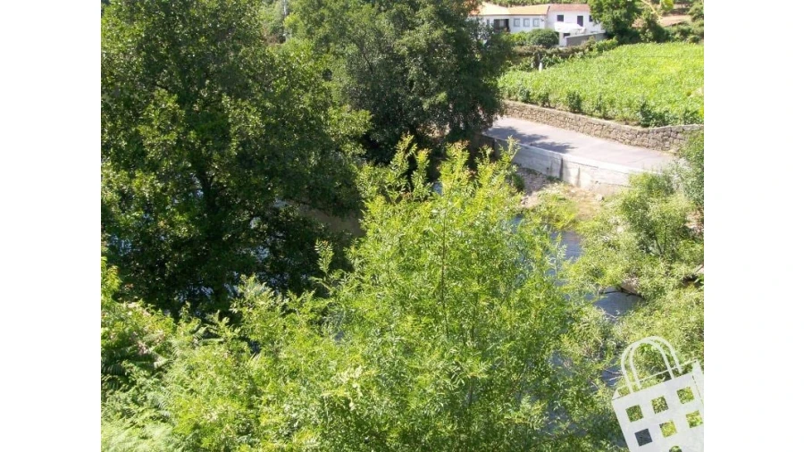 Moradia para Venda em São Pedro do Sul, Várzea e Baiões Foto 4