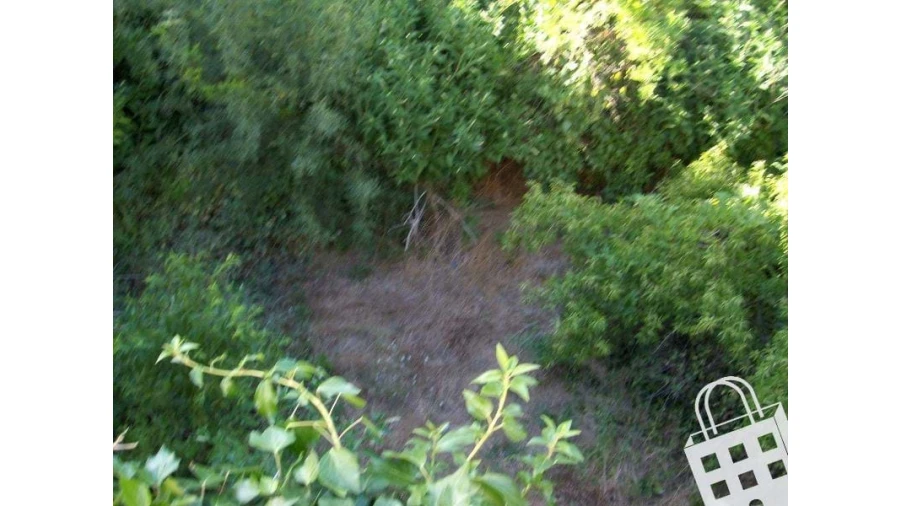 Moradia para Venda em São Pedro do Sul, Várzea e Baiões Foto 8