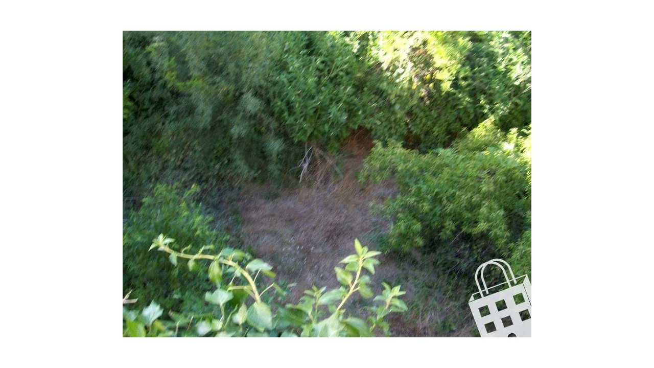 Moradia para Venda em São Pedro do Sul, Várzea e Baiões Foto 8