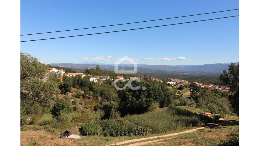 Terreno para Venda em Semide e Rio Vide Foto 6