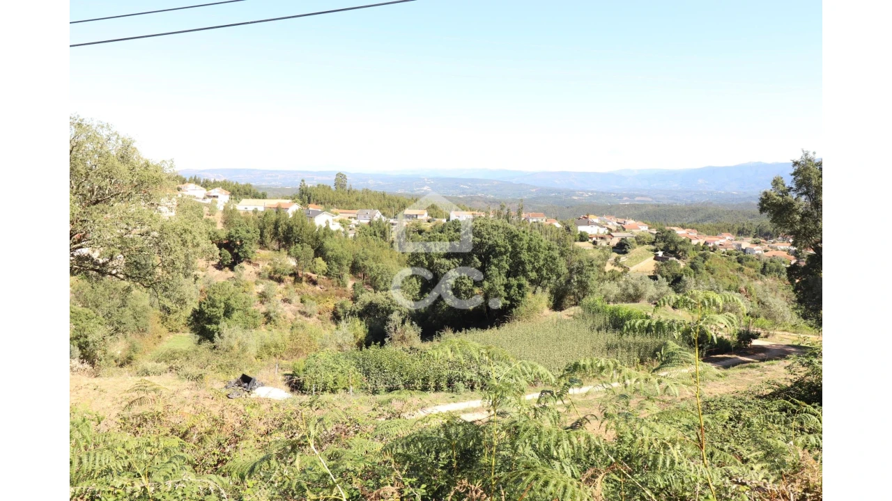 Terreno para Venda em Semide e Rio Vide Foto 3