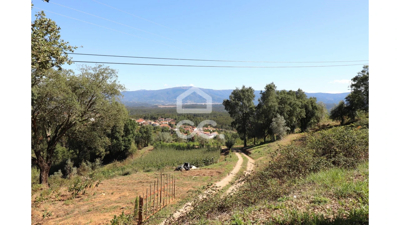 Terreno para Venda em Semide e Rio Vide Foto 2