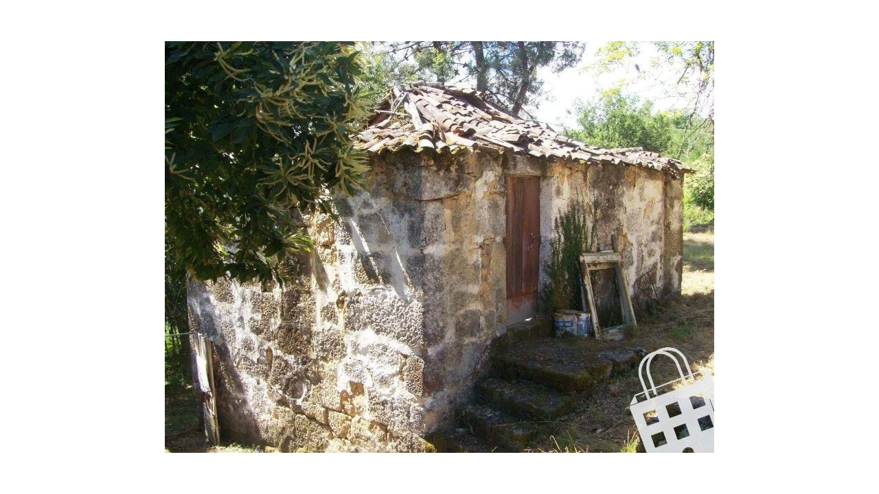 Moradia para Venda em São Pedro do Sul, Várzea e Baiões Foto 2