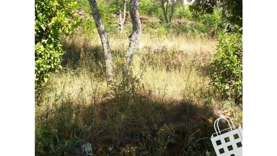 Moradia para Venda em São Pedro do Sul, Várzea e Baiões Foto 9