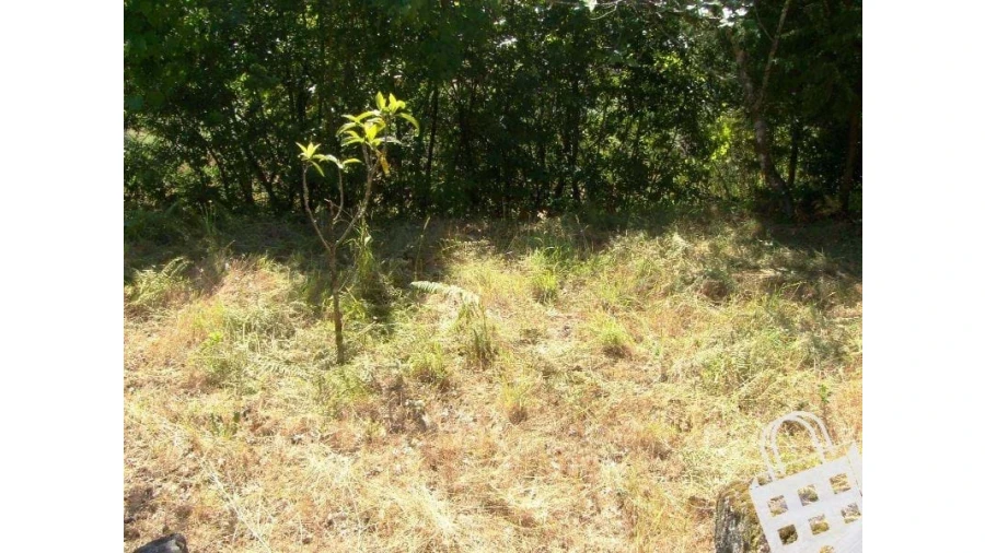 Moradia para Venda em São Pedro do Sul, Várzea e Baiões Foto 4