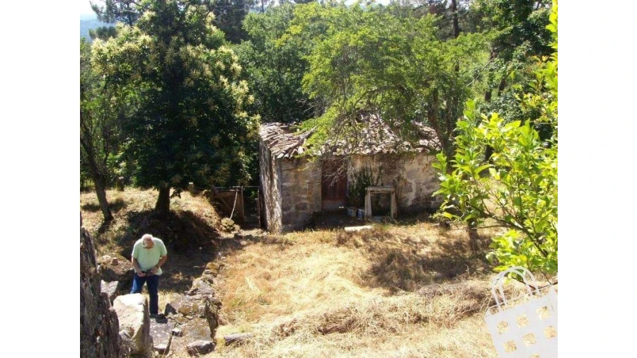 Moradia para Venda em São Pedro do Sul, Várzea e Baiões Foto 8