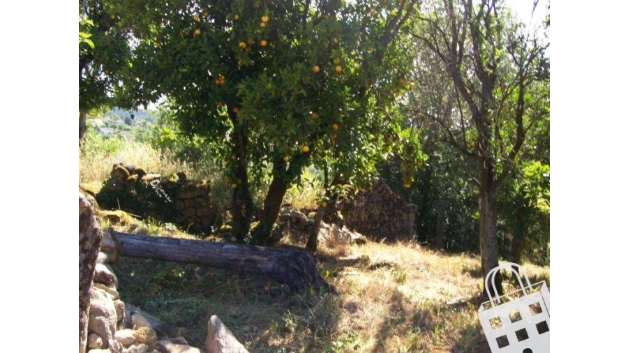 Moradia para Venda em São Pedro do Sul, Várzea e Baiões Foto 5