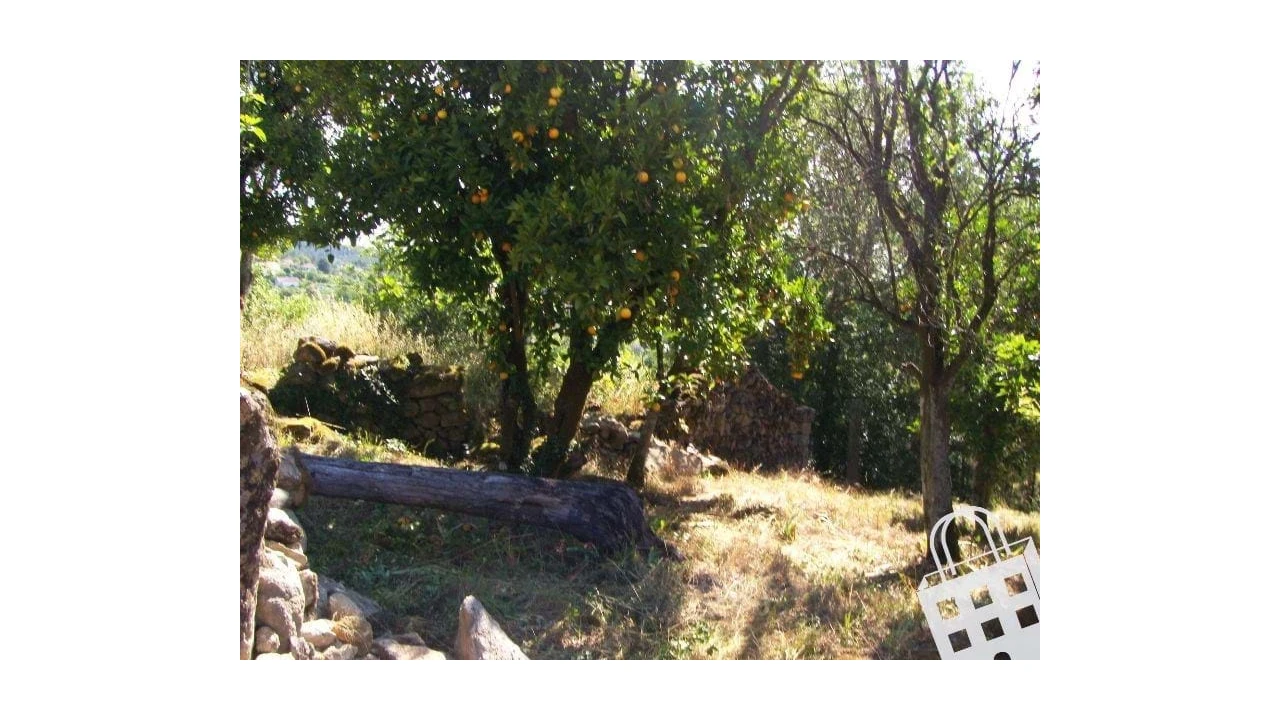 Moradia para Venda em São Pedro do Sul, Várzea e Baiões Foto 5