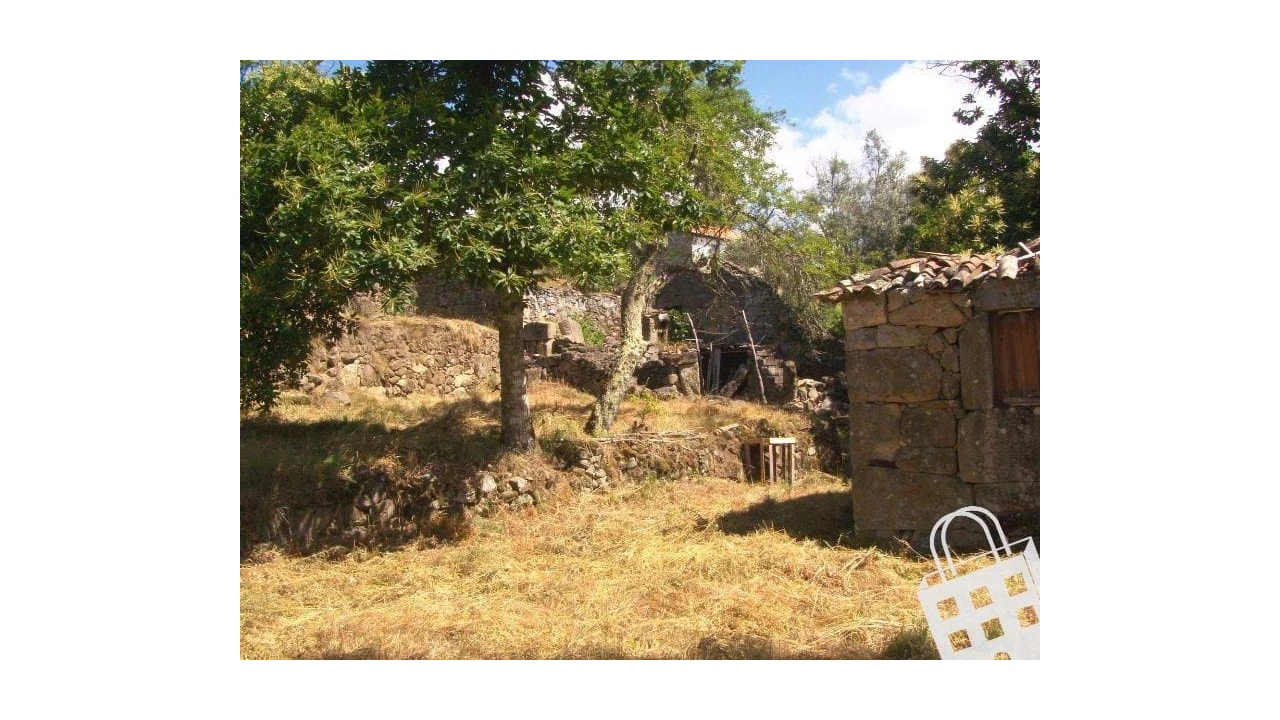 Moradia para Venda em São Pedro do Sul, Várzea e Baiões Foto 6