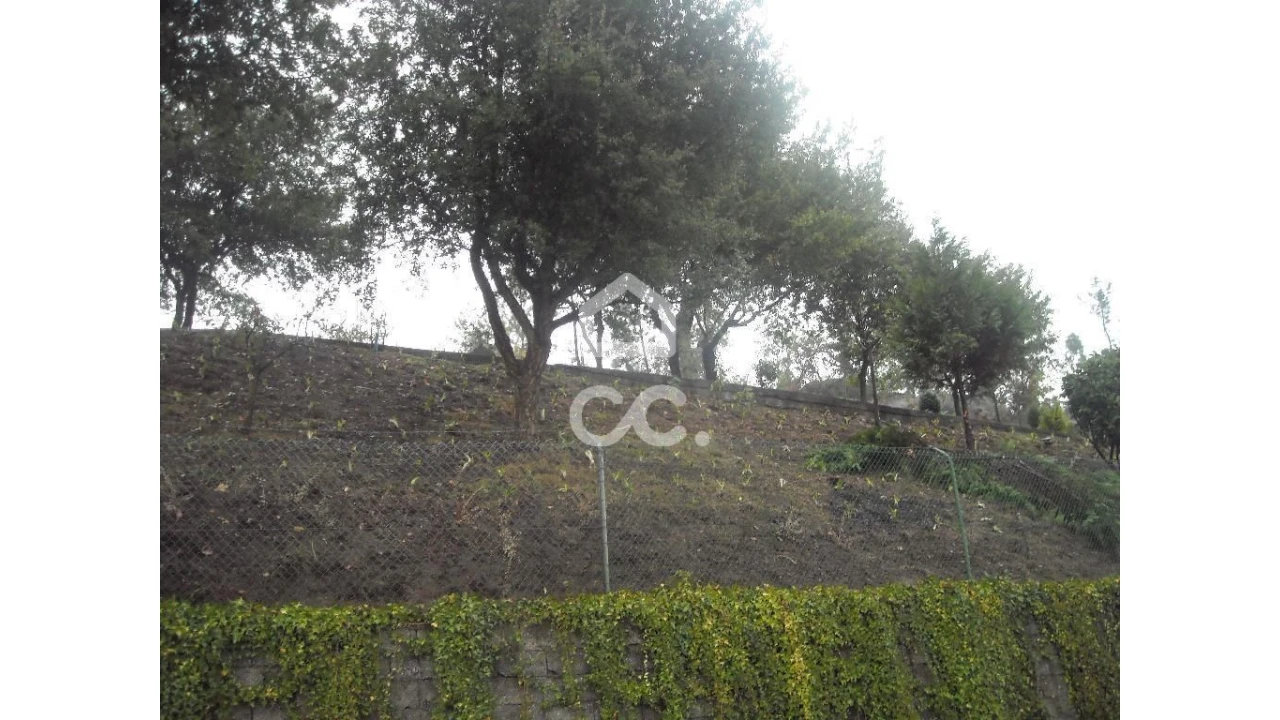 Terreno para Venda em Abação e Gémeos Foto 4