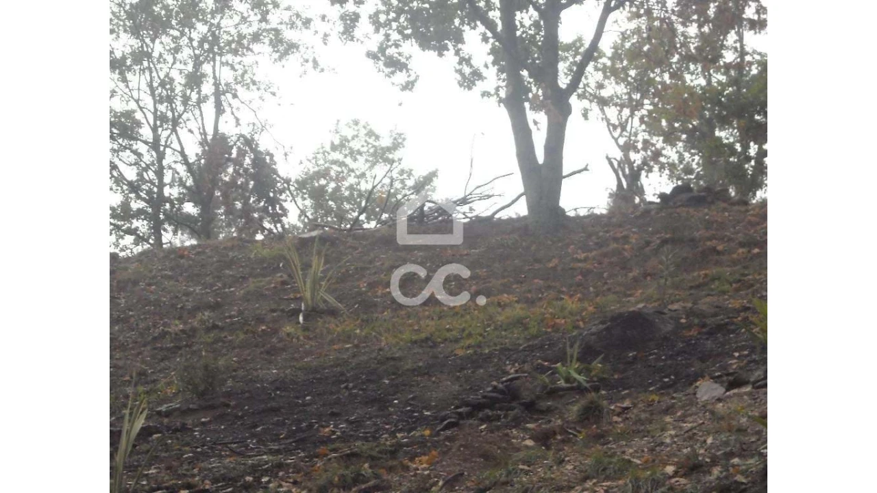 Terreno para Venda em Abação e Gémeos Foto 6