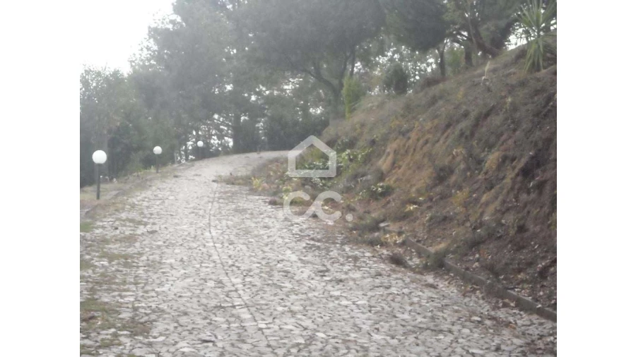 Terreno para Venda em Abação e Gémeos Foto 7