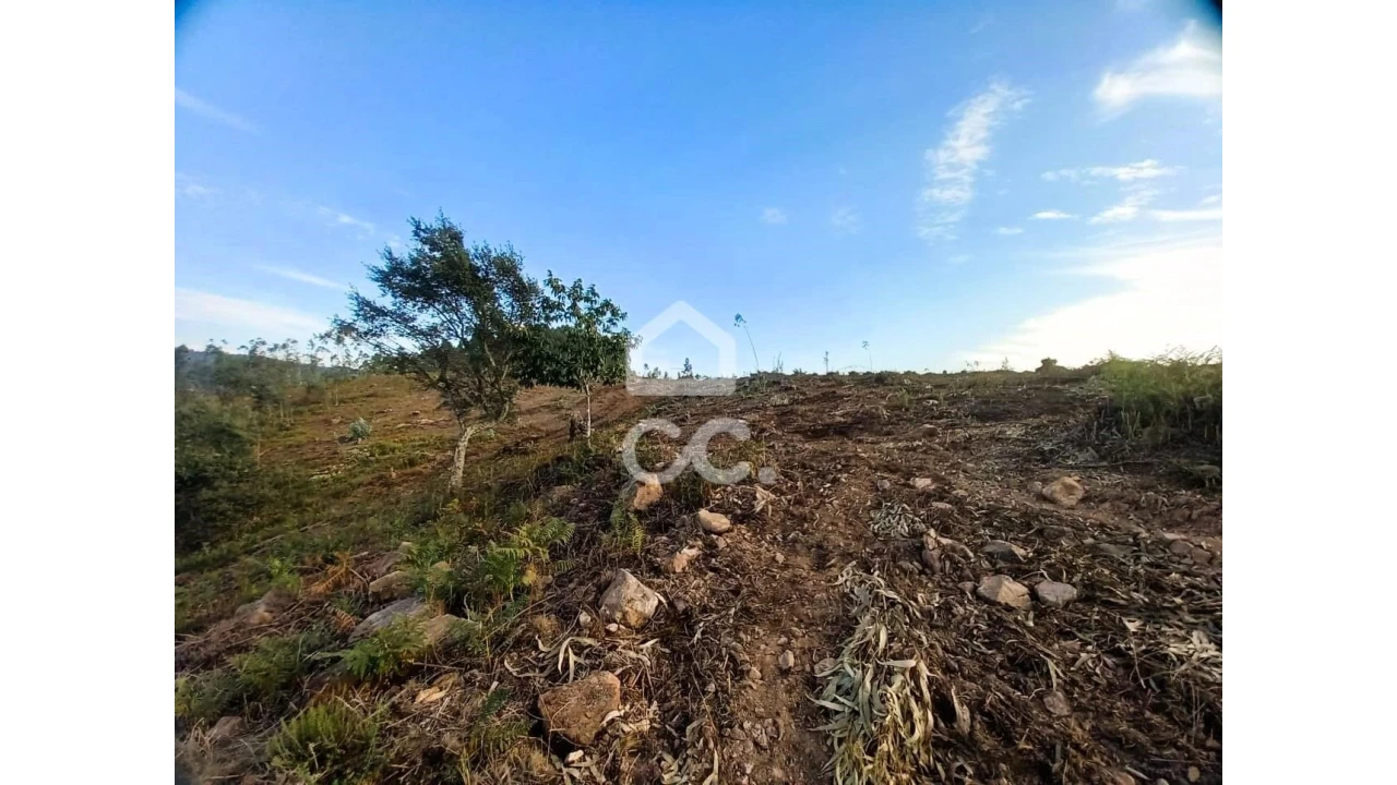 Terreno para Venda em Vila Nova de Famalicão e Calendário Foto 17