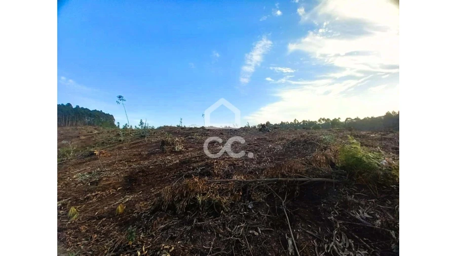 Terreno para Venda em Vila Nova de Famalicão e Calendário Foto 10
