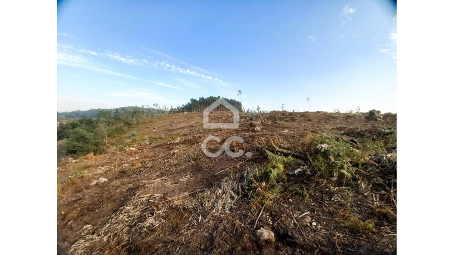 Terreno para Venda em Vila Nova de Famalicão e Calendário Foto 18