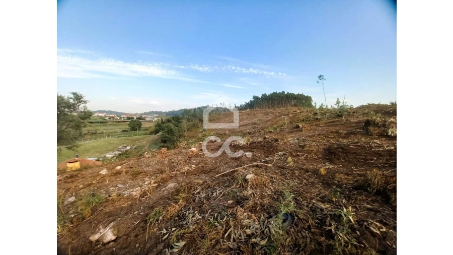 Terreno para Venda em Vila Nova de Famalicão e Calendário Foto 16
