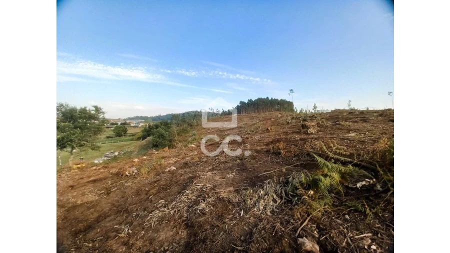 Terreno para Venda em Vila Nova de Famalicão e Calendário Foto 12