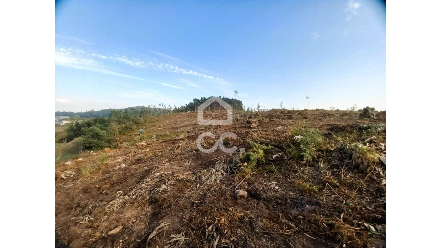 Terreno para Venda em Vila Nova de Famalicão e Calendário Foto 15