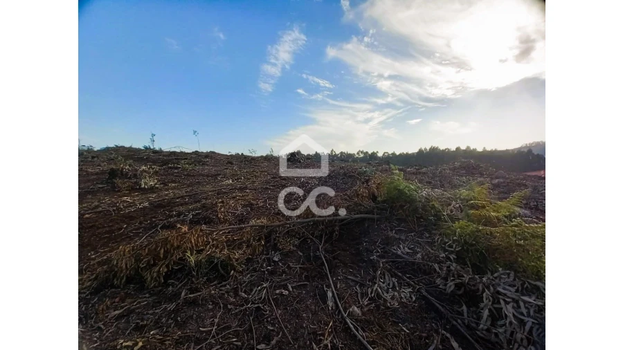 Terreno para Venda em Vila Nova de Famalicão e Calendário Foto 11