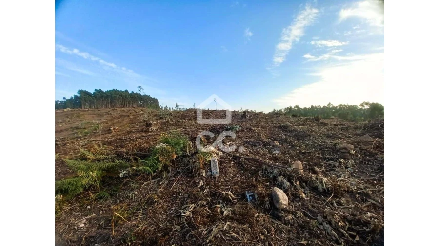 Terreno para Venda em Vila Nova de Famalicão e Calendário Foto 6