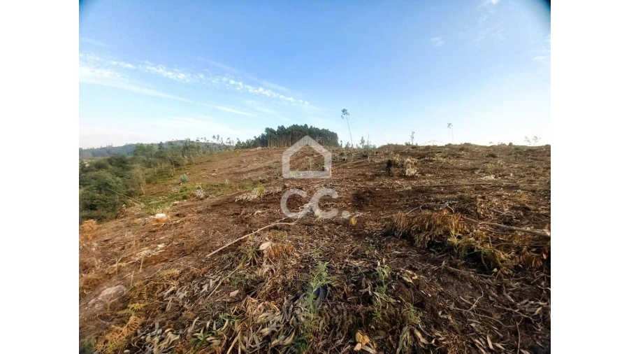 Terreno para Venda em Vila Nova de Famalicão e Calendário Foto 9